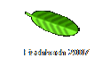 Fischbach 2007