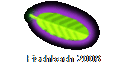 Fischbach 2008