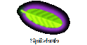 Spitzbub